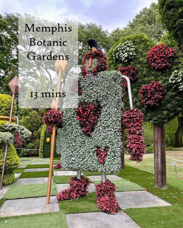 The Olive Bird Chalet In Central Gardens, Memphis Tn المظهر الخارجي الصورة