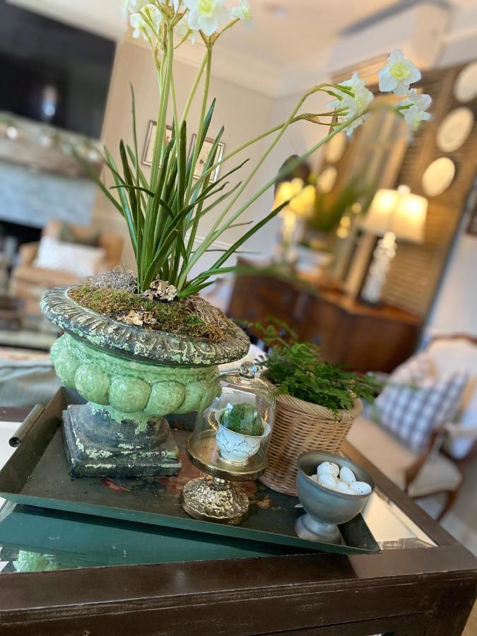 The Olive Bird Chalet In Central Gardens, Memphis Tn المظهر الخارجي الصورة