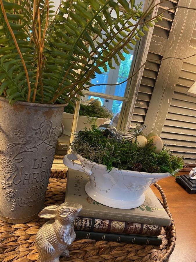 The Olive Bird Chalet In Central Gardens, Memphis Tn المظهر الخارجي الصورة